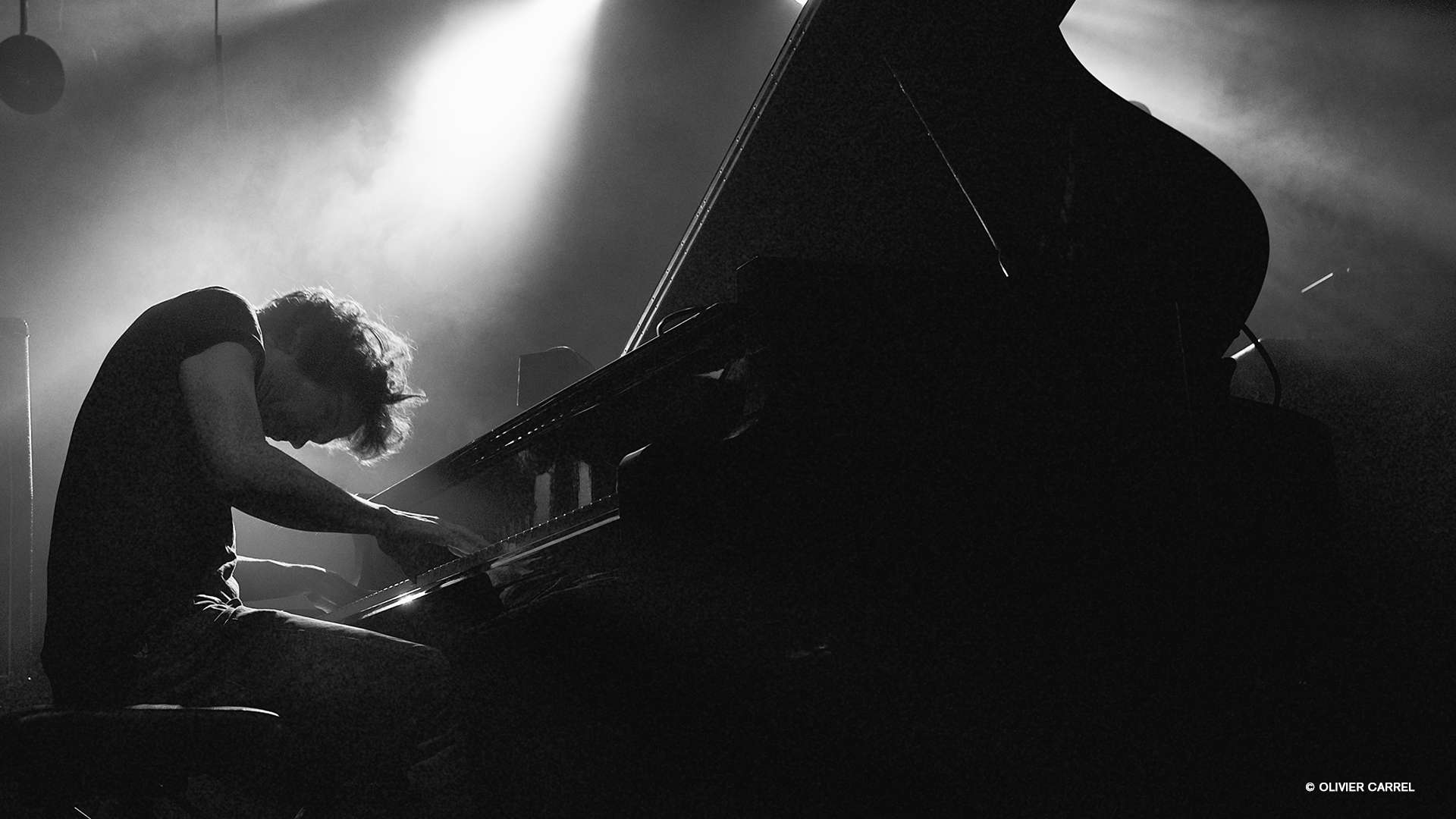 Photo de l'artiste Alain Roche